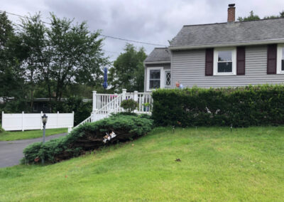 Pruning Shrubs in Tyngsboro, MA.