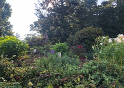 Garden Maintenance in Tyngsboro, MA.