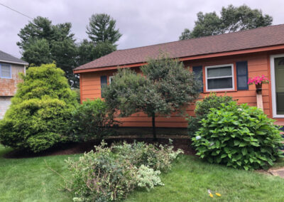 Shrub Pruning in Chelmsford, MA.