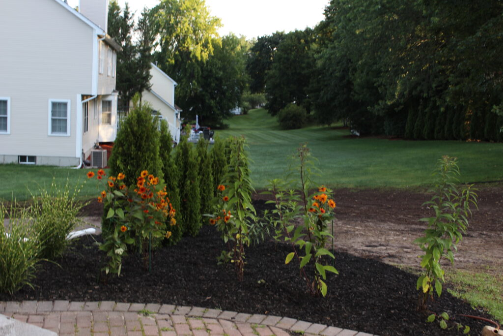 Planting a garden in Nashua, NH by Greenleaf's Garden Design