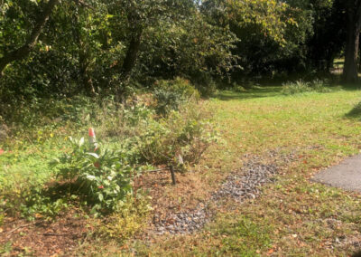 Garden Maintenance in Concord, MA.