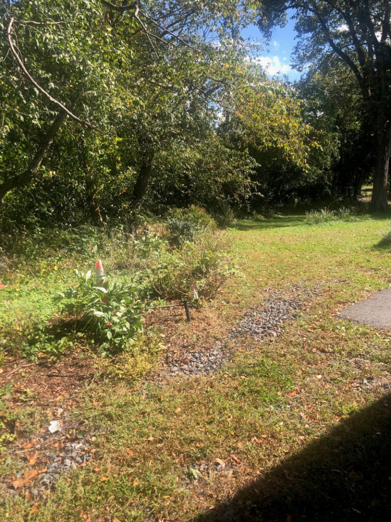 Garden Maintenance in Concord, MA.