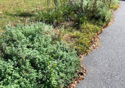 Garden Maintenance in Concord, MA.