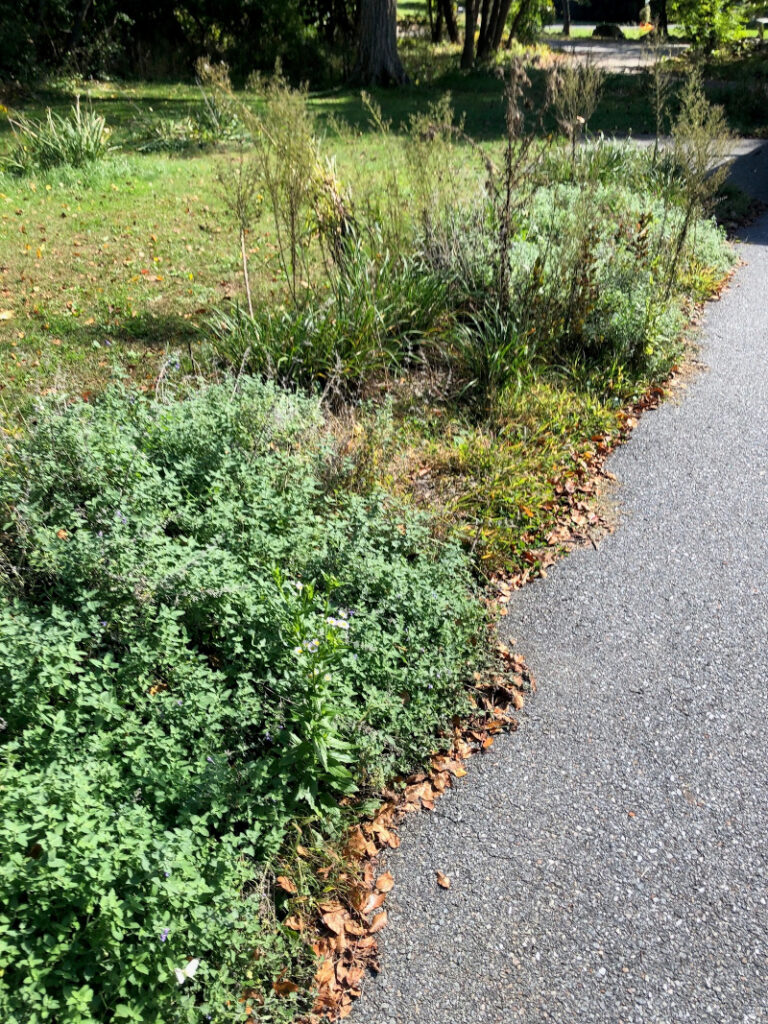 Garden Maintenance in Concord, MA.