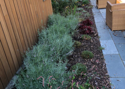 Garden Maintenance in Concord, MA.