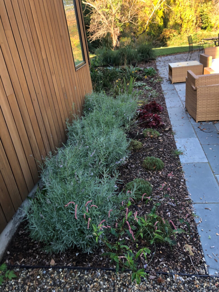 Garden Maintenance in Concord, MA.