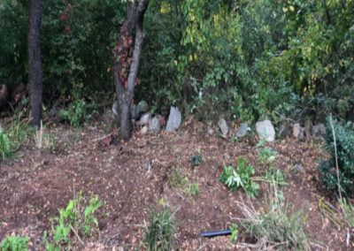 Garden Maintenance in Concord, MA.