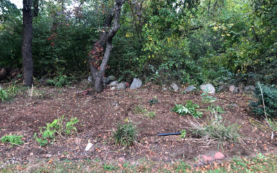 Garden Maintenance in Concord, MA.