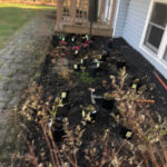 Garden Installation in Groton, MA