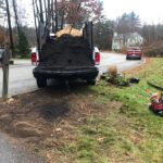 Planted 4 White Birches and now the client wanted a garden in Dunstable, MA