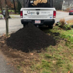 Planted 4 White Birches and now the client wanted a garden in Dunstable, MA