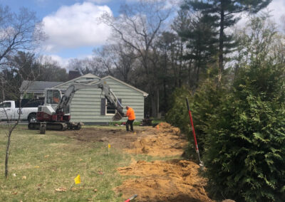 Tree planting in Hollis, NH