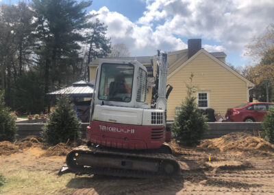 Tree planting in Hollis, NH