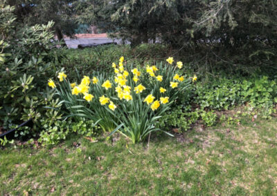 Garden Maintenance in Tyngsboro, MA.