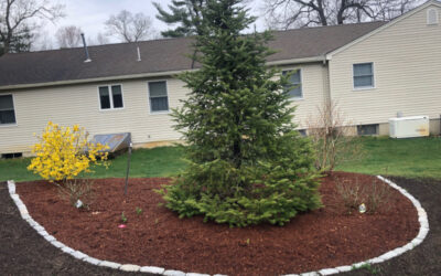 Edging and Mulching Service in Tewksbury MA