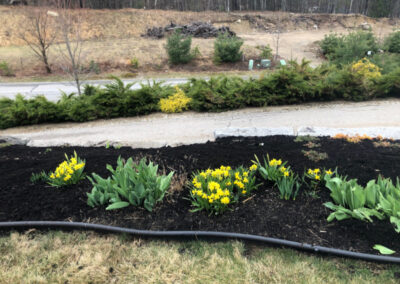 Garden Design and Maintenance in Conway, NH.