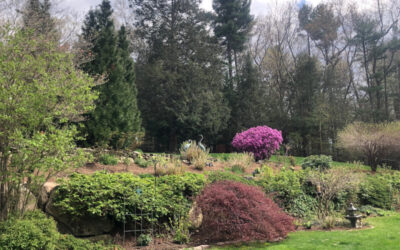 Garden Maintenance in Tyngsboro, MA.