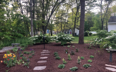 Garden Maintenance and Installation in Westford, MA.