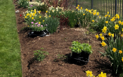 Garden Design and Maintenance in Westford, MA.