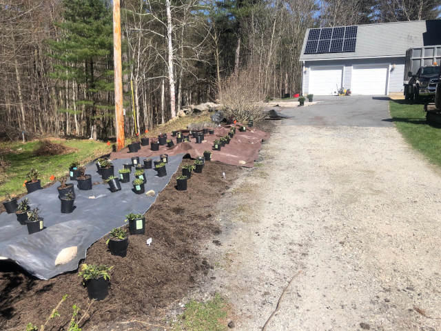 Garden Design and Edging in Dunstable, MA