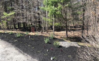 Garden Design and Edging in Dunstable, MA