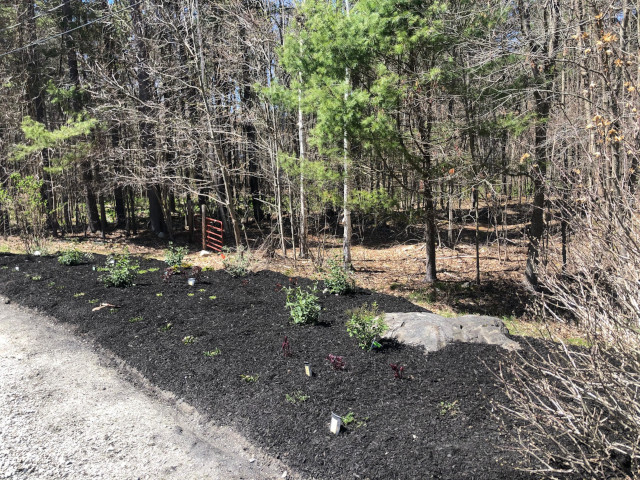 Garden Design and Edging in Dunstable, MA