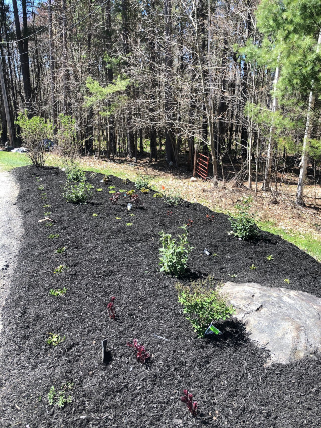 Garden Design and Edging in Dunstable, MA