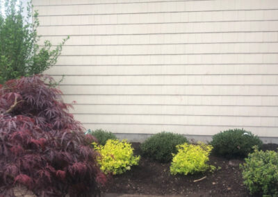 Shrub Planting and Design in Westford, MA.