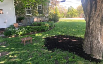 Garden Maintenance in Dracut, MA.