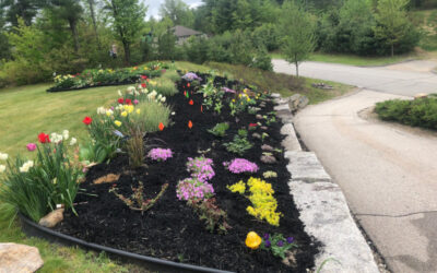 Garden Installation in North Conway, NH