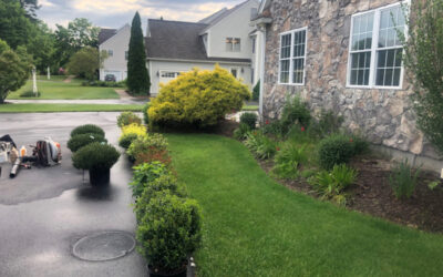 Shrub Planting and Design in Westford, MA.