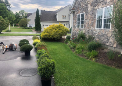 Shrub Planting and Design in Westford, MA.