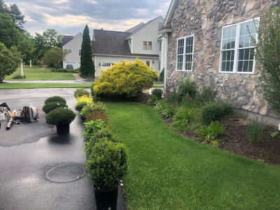 Shrub Planting and Design in Westford, MA.