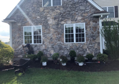 Shrub Planting and Design in Westford, MA.