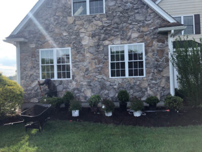 Shrub Planting and Design in Westford, MA.