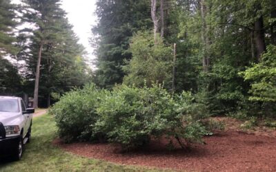 Garden Weeding and Garden Maintenance in Amherst, NH.