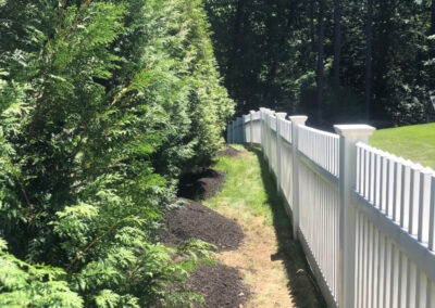 On this Bolton Mass job, Greenleaf’s Garden Design teamed up with Sylbert and his speedy crew. We planted 5 ten-foot-tall Arborvitaes in 4 hours.