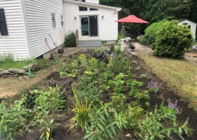 For this project, Greenleaf’s Garden Design transformed this cooked Nashua, NH lawn into a lovely garden. The project took 6 hours. We used 116 Perennials, 6 shrubs,16 yards of Garden Mix, and 6 yards of black mulch. Greenleaf’s Garden Design specializes in Garden Design, Maintenance, and Installation within 25 miles of Tyngsboro MA.