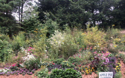 Garden Maintenance in Tyngsboro, MA