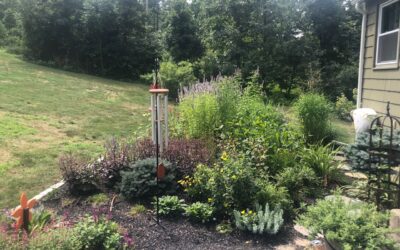 Garden Maintenance in Groton, MA.