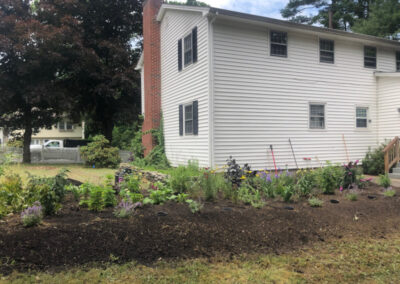 For this project, Greenleaf’s Garden Design transformed this cooked Nashua, NH lawn into a lovely garden. The project took 6 hours. We used 116 Perennials, 6 shrubs,16 yards of Garden Mix, and 6 yards of black mulch. Greenleaf’s Garden Design specializes in Garden Design, Maintenance, and Installation within 25 miles of Tyngsboro MA.