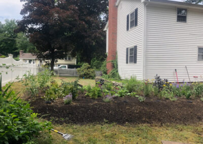 For this project, Greenleaf’s Garden Design transformed this cooked Nashua, NH lawn into a lovely garden. The project took 6 hours. We used 116 Perennials, 6 shrubs,16 yards of Garden Mix, and 6 yards of black mulch. Greenleaf’s Garden Design specializes in Garden Design, Maintenance, and Installation within 25 miles of Tyngsboro MA.