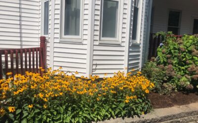 Garden Maintenance and Design in Lowell, MA.