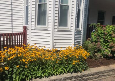 Garden Maintenance and Design in Lowell, MA.