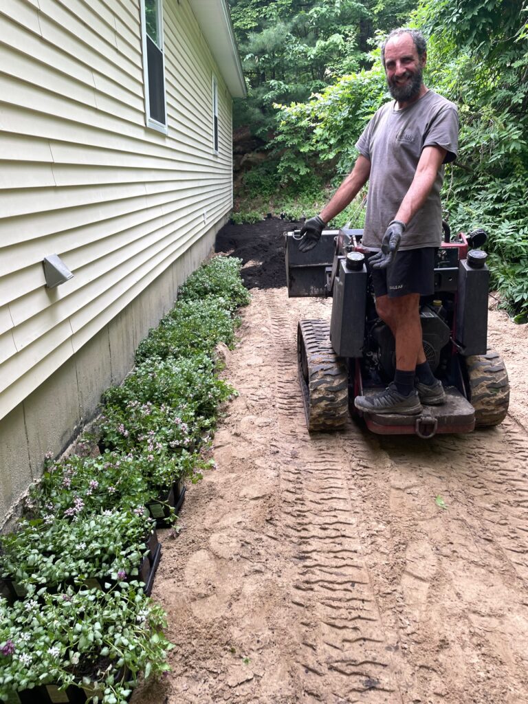 Garden Installation 