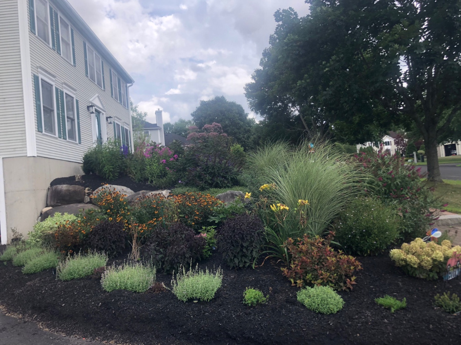 Greenleaf’s Garden Design returned to this Nashua, NH garden for a seasonal checkup. 