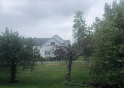 Shrub Pruning and Maintenance in Westford, MA.