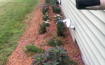 Garden Maintenance in Nashua, NH.