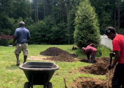 Tree Planting in Bolton, Massachusetts