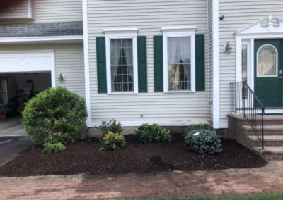 Shrub Removal and Installation in Nashua, NH